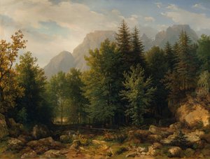 Skogslandskap i de höga bergen