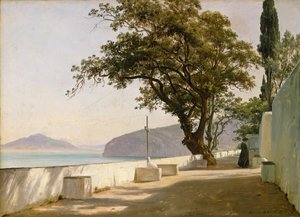 Terrass med ek, Sorrento av Thomas Fearnley