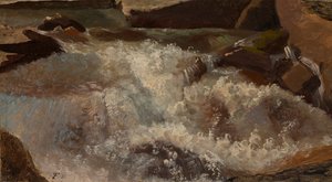 Vilda vatten. naturstudie av Thomas Fearnley