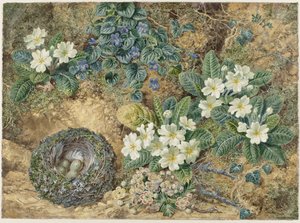 Stilleben av ett fågelbo, violer, primula och äppelblom av Thomas Frederick Collier