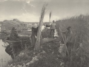 Under vassskörden,1886 (foto)