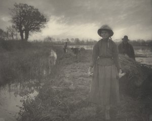 Polering av myrhö,1886 (foto)