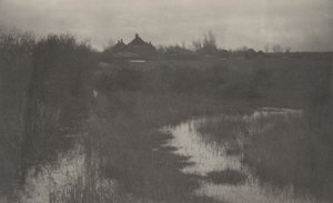 Randen av träsket,1886 (foto)