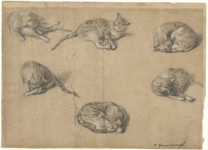 Sex studier av en katt av Thomas Gainsborough