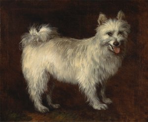 Spetshund av Thomas Gainsborough