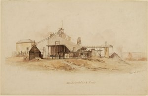 Whitworth Park Colliery av Thomas H. Hair