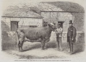 Kapten Gunters hertiginna 77:e, första prisko på Royal Agricultural Society