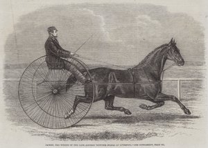 Jackey, vinnaren av framlidne Aintree Trotting Stakes i Liverpool av Thomas Harrington Wilson