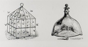 Geting- och flugfällor, från Thomas Mawsons "The Art and Craft of Garden Making", publicerad 1900 (gravyr) (s/v foto) av Thomas Hayton Mawson
