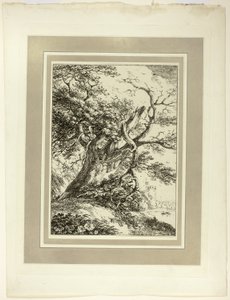Old Tree, från första numret av Specimens of Polyautography av Thomas Hearne