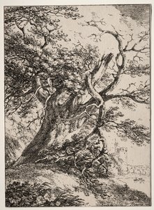 Exemplar av polyautografi: Landskap med en ek, 1803. av Thomas Hearne
