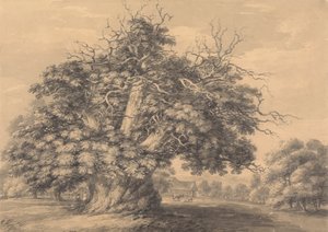 Kastanjeträdet vid Little Wymondley, Hertfordshire av Thomas Hearne