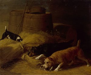 Råttor bland kornkärvarna, 1851.