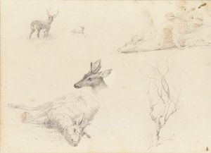 Skissbok över landskap och djurämnen, 1860-64.
