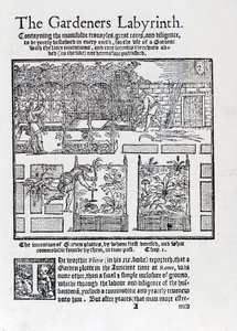 Berså byggd som en skugga mot solen och plantering i högbäddar, från The Gardeners Labyrinth, 1577 av Thomas Hill