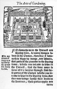 Elizabethan garden från The profitable arte of gardening, 1568