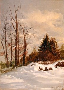 Catskill vinterlandskap