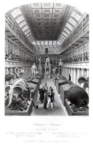 The Hunterian Museum, illustration till 