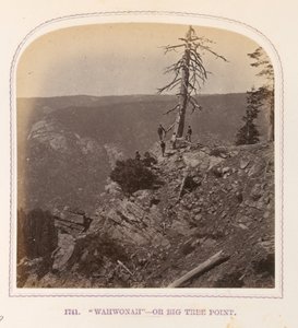 "Wahwonah" - eller Big Tree Point