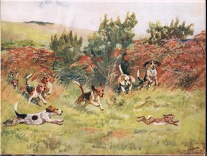 Jagar en hare, illustration från "Hounds"