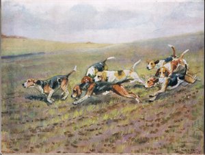 Över fältet, illustration från "Hounds" (hundar)