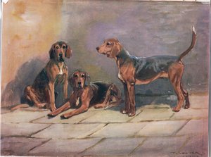 Hundar, illustration från "Hounds"
