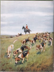 Rävjakt, illustration från "Hounds" (hundar)