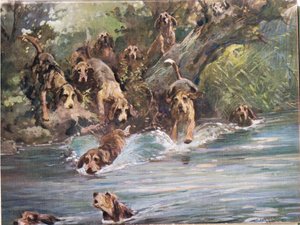 Into the River, illustration från "Hounds"