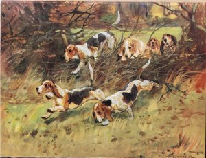 Through the Hedgerow, illustration från 
