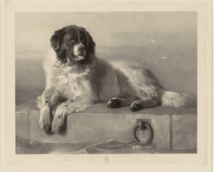 Porträtt av räddningshunden Bob, liggande på en brygga En framstående medlem av Humane Society (titel på objekt) av Thomas Landseer