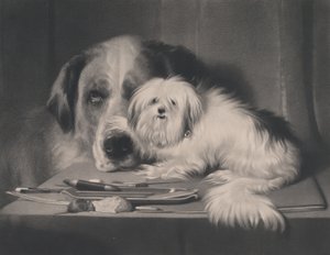 The Lion-Dog of Malta--The Last of His Tribe, 1844. av Thomas Landseer
