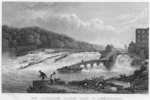 The Coleraine Salmon Leap, County Londonderry (gravyr)