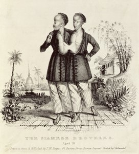 De siamesiska bröderna, 18 år gamla, tryckt av Charles Hullmandel (1789-1850), ca 1829
