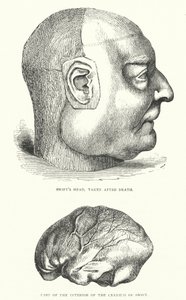Illustration för livet av Jonathan Swift (gravyr) av Thomas Morten