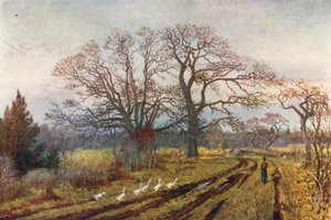 av Thomas Mower Martin