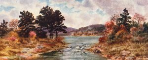  av Thomas Mower Martin