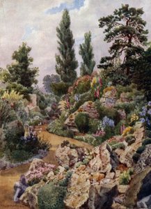 Kew Gardens: In the Rock Garden (färg litho)