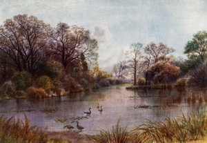 Kew Gardens: The Lake (färg litho)