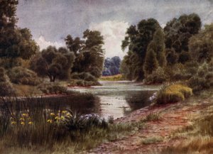 Kew Gardens: The Lake, Looking South (färg litho)