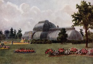 Kew Gardens: The Palm House (färg litho) av Thomas Mower Martin