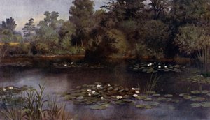 Kew Gardens: The Water Lily Pond (färg litho) av Thomas Mower Martin