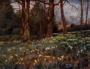 Kew Gardens: The Wild Garden in Spring (färg litho)