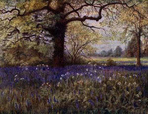 Kew Gardens: Wild Hyacinths (färg litho)