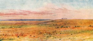  av Thomas Mower Martin