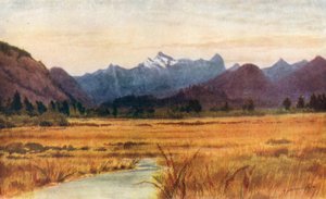  av Thomas Mower Martin