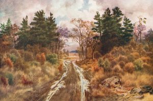 Väg nära Fundybukten, höst (färglitografi) av Thomas Mower Martin