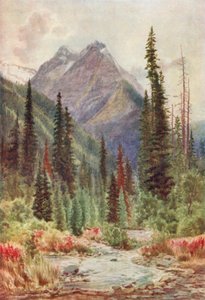  av Thomas Mower Martin
