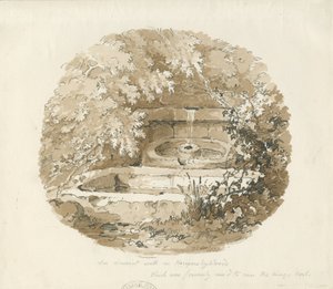 Biddulph - Forntida brunn i Knypersley Woods: sepiateckning