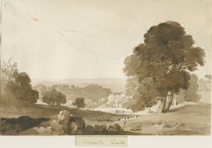Cannock Chase: sepia tvättteckning, nd [?1839]