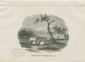 Chartley Hall - Park: träsnittsgravyr